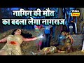 नागिन की मौत का बदला लेगा नागराज - Rani Chatterji Movie - Bhojpuri Hit Ichhadhari Nagin Movie 2021