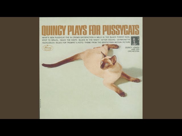 Quincy Jones And His Orchestra - What's New Pussycat?