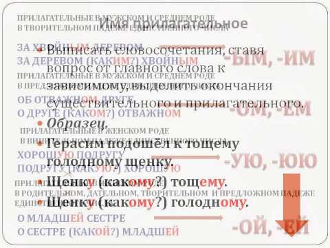 Прилагательное. Правописание окончаний