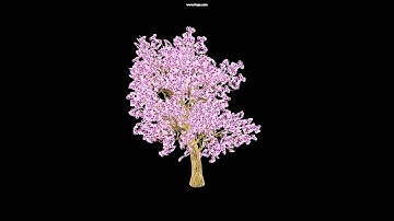 3D-Cherry Blossom Tree