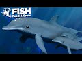 THE GIANT DOLPHIN POD!!! - Fish Feed and Grow | HD