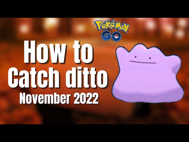 November Ditto 2022