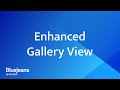 Enhanced Gallery View | BlueJeans Meetings