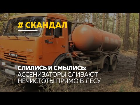 Слились и смылись: ассенизаторы сливают нечистоты прямо в лесу