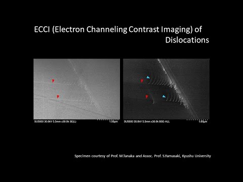 [Materials]  ECCI (Electron Channeling Contrast Imaging) of Dislocations