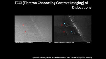 [Materials]  ECCI (Electron Channeling Contrast Imaging) of Dislocations