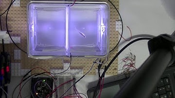 Active avoidance of zebrafish