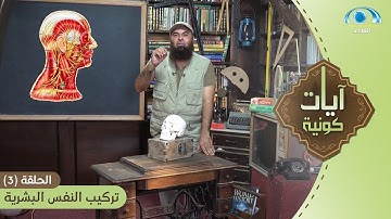 تركيب النفس البشرية | برنامج آيات كونية