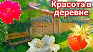 Жизнь в деревне в гармонии с природой. Красочное лето в селе