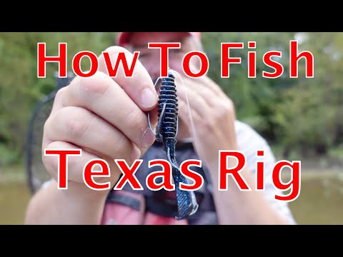 How to Fish a Texas Rig in the Fall 