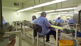 Almond sorting task. Evaluation example for ergonomics