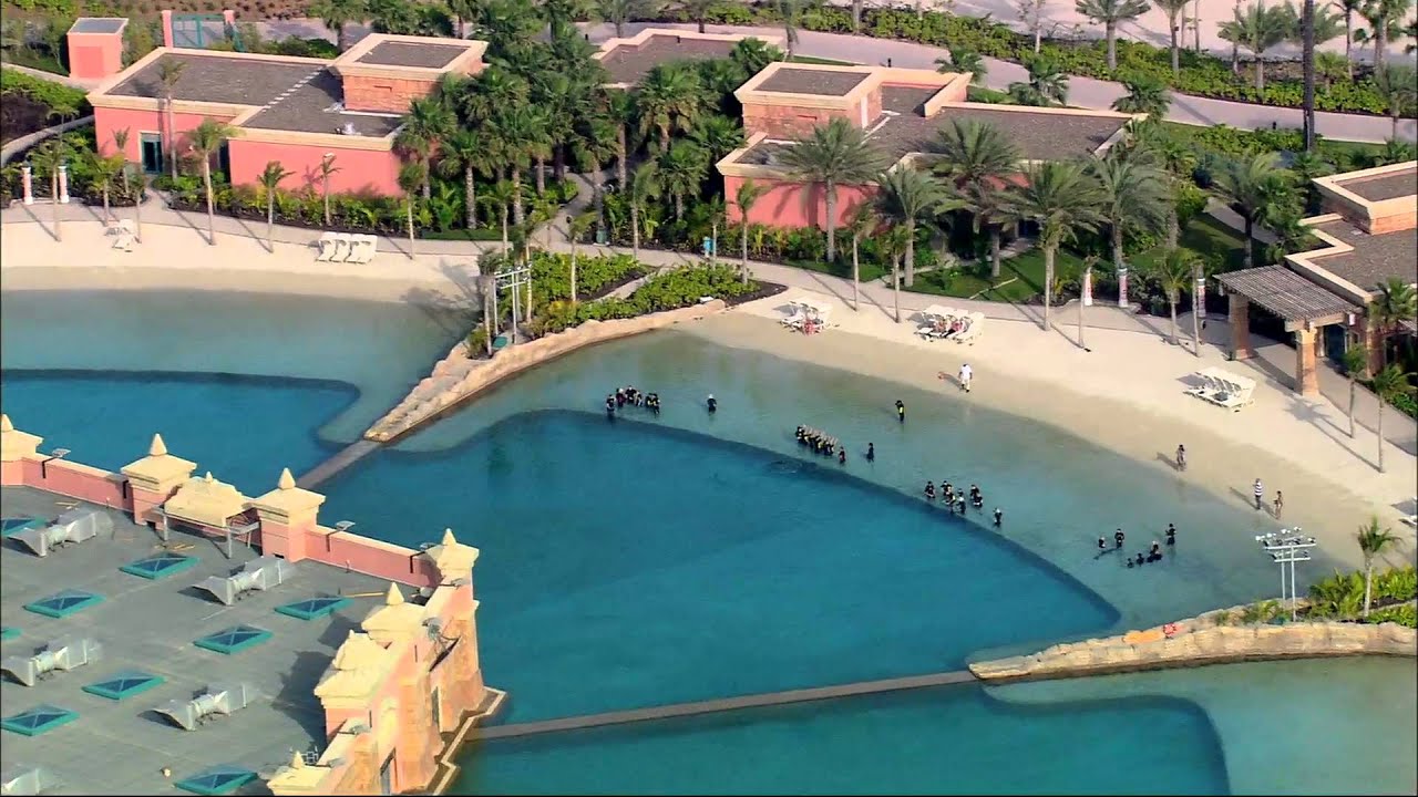 Dolphin Bay at Atlantis The Palm Hotel - YouTube