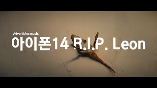 [광고 음악] 2023 아이폰14