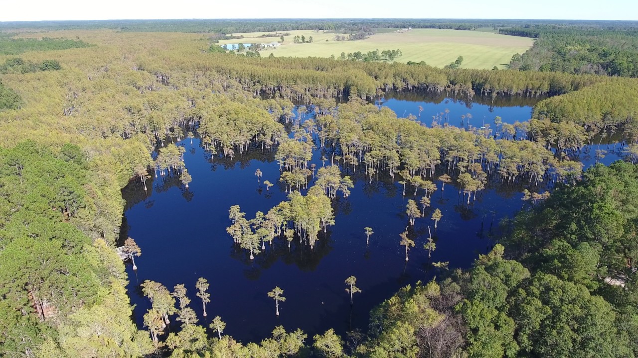L Smith State Park YouTube