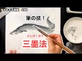 一筆で綺麗な墨のグラデーションが出せる！　すみする動画098　三墨法で鱧(ハモ )を描く