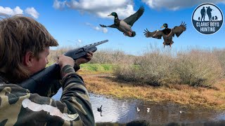 Duck Hunting 2024-Opening Weekend screenshot 5