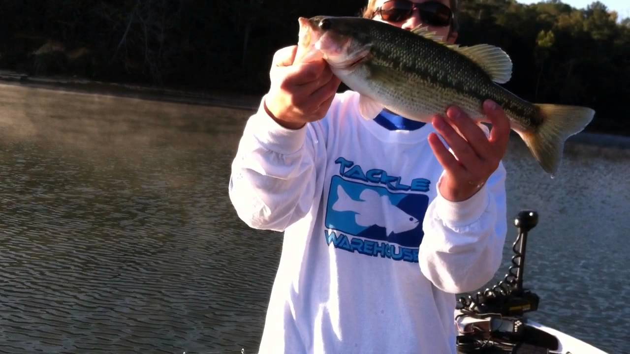 Bass Fishing on Lake Eufaula, AL - YouTube