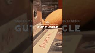 “Gut Muscle”, il nuovo singolo di Macro Marco &amp; Napoleon Da Legend, FUORI ORA, ovunque.