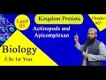 Biology Ch#07-Lecture#05 Actinopods and Apicomplexan (F.Sc 1st Year)