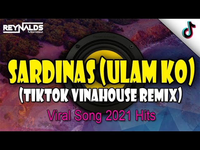 Ulam Ko Sardinas (TikTok Viral 2021) Vinahouse Remix |  DJ Reynalds M