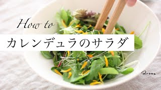 【食べられるお花】カレンデュラのサラダ / エディブルフラワー