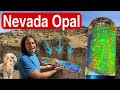 Explore the royal peacock opal mine  open to public