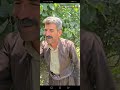 کاک ئازادی بەڕێز باسی عمودی فەقری دارێک دەکات زانای کشتوکاڵ کاک ئازادی بەڕێز باسی عمودی فەقری دارێک دەکات زانای کشتوکاڵ