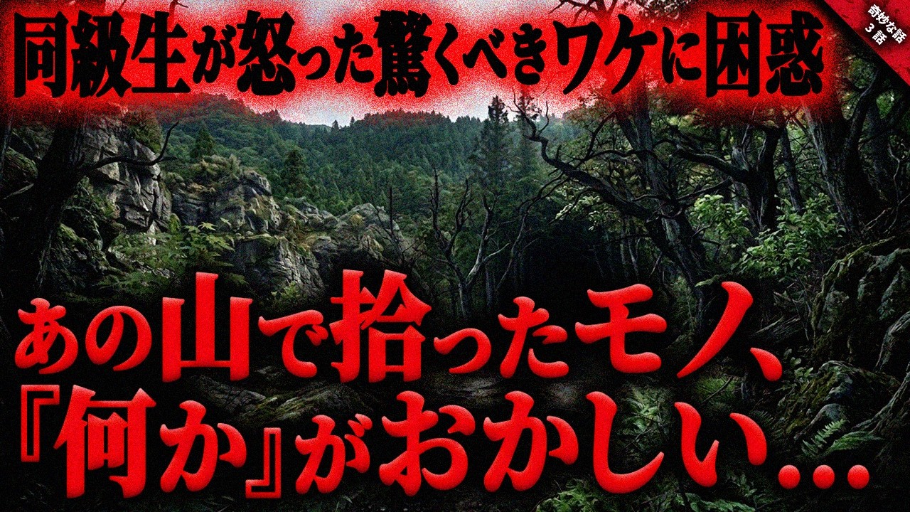 【奇妙な話】山で会った同級生が怖い顔でキレた驚くべき”ワケ”に困惑が止まらない…。あの山で拾ったモノ、”何か”がおかしい…『山で拾ったモノに纏わる奇妙で怖い話』全3話【ゆっくり怖い話作業用/睡眠】