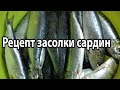 Рецепт засолки сардин