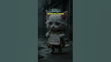 سورة الطارق #audio #الرحمن #اكسبلور #capcut #cat #دويتو #المصحف #edm