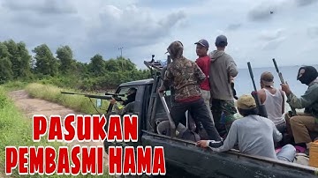 Berburu hama tupai bersama sniper lampung‼️menu MBG dari hasil point buruan⁉️