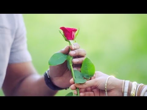 ❤️🌹 Rose Day 7 Feb - New Love WhatsApp Status Video 2019 🌹❤️