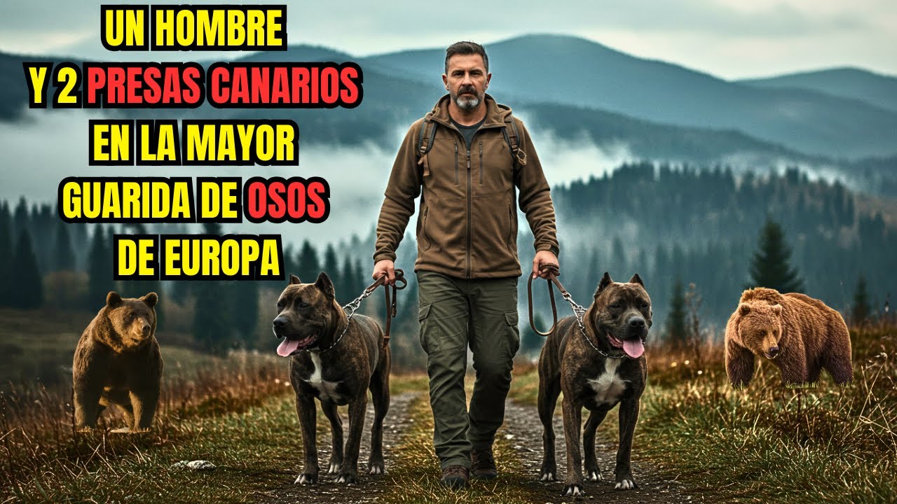 Un hombre entró con 2 Bestias a la Montaña Más Peligrosa de Europa para salvar a su sobrino