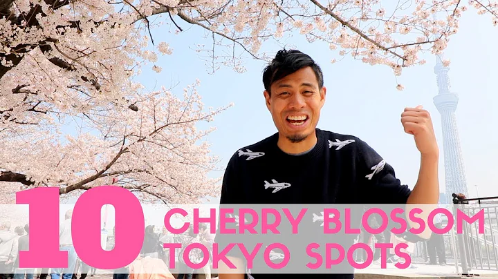 Top 10 Cherry Blossom Tokyo Spots | Sakura watching and Hanami Guide - DayDayNews