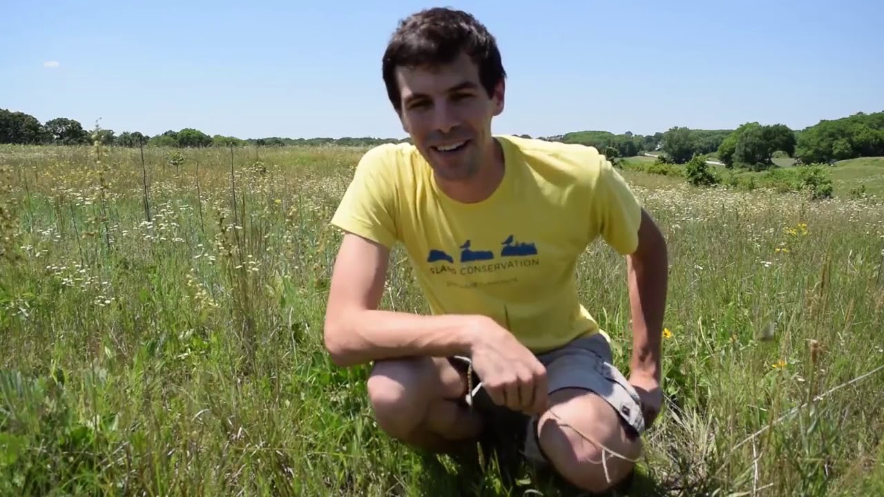 What's the Word: Biodiversity - Real-world Ecology Lesson With Peter Kleinhenz