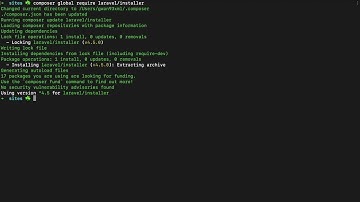 Mac OS Install Laravel CLI