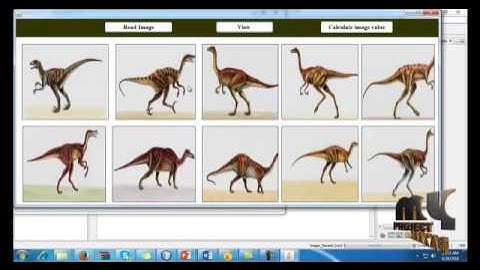 A Compressed-Domain Image Filtering and Re-Ranking Approach for Multi-Agent Image Retrieval