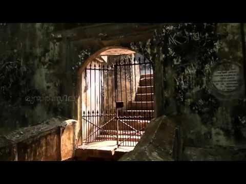 Pallippuram Fort video