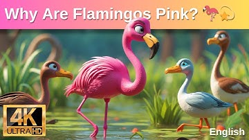 Why Are Flamingos Pink? The Secret Behind Their Amazing Color!