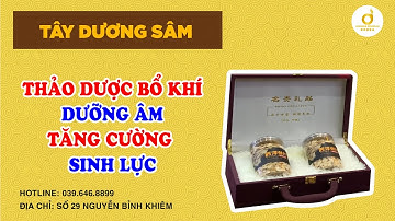 TÂY DƯƠNG SÂM