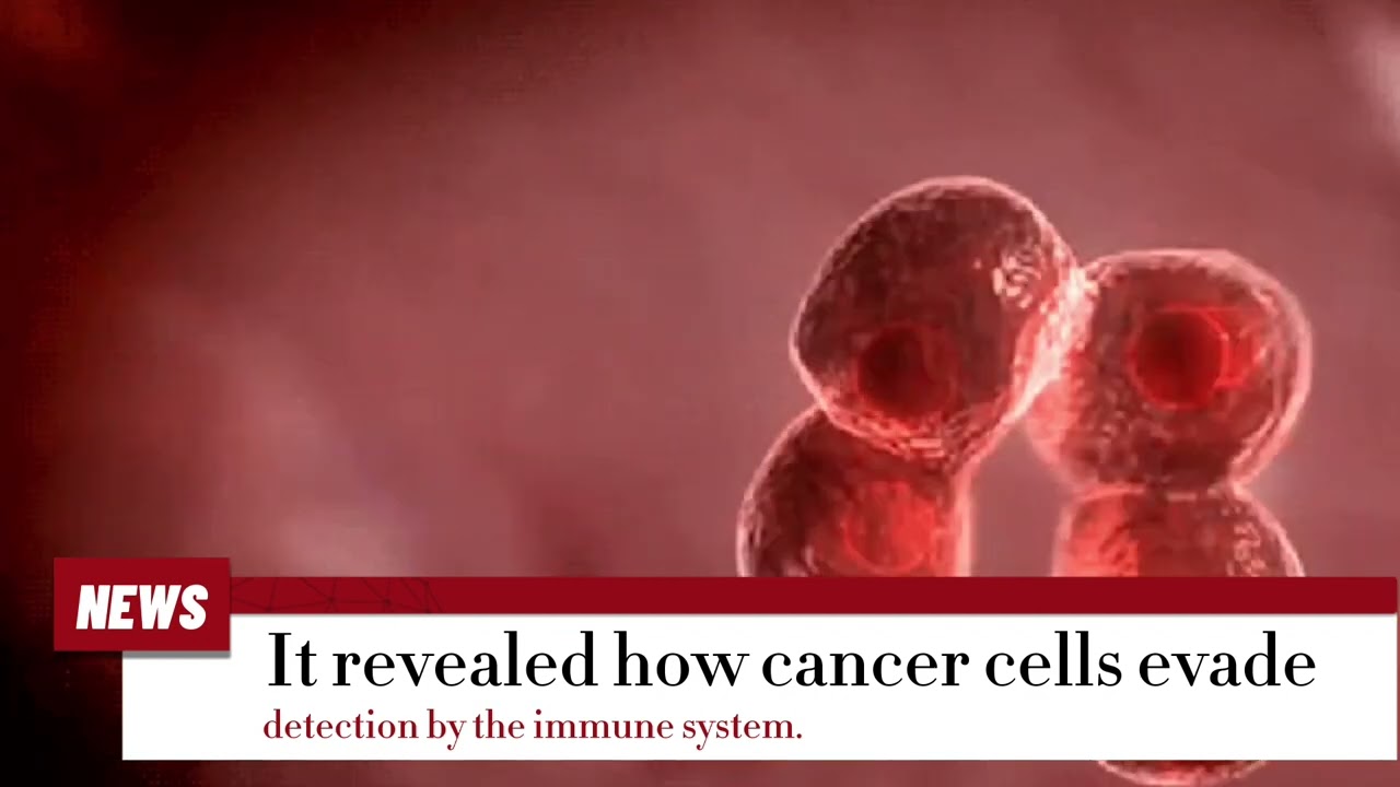 How cancer evades immune system detection and spreads