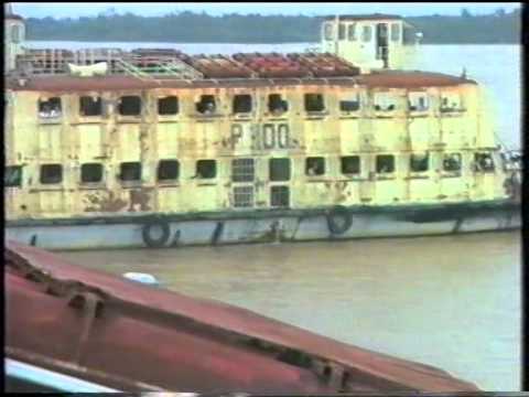 კახათელები ვიეტნამში