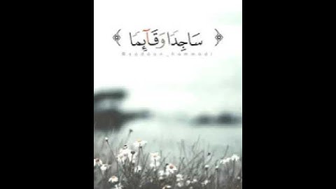 تلاوة رائعة بصوت الشيخ سعدون حمادي شافاه الله من مرضه