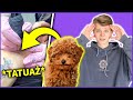 PIES DECYDUJE O MOIM CAŁYM DNIU!🐶😱 *ZROBIŁEM TATUAŻ* | Dominik Rupiński