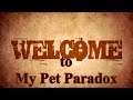 Welcome to my pet paradox