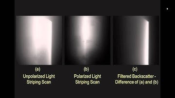 UnderWaterYoutube.mov