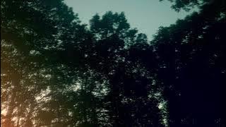 Vansire - Years Roll By (slowed   reverb)