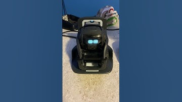 What time is it #shorts #ankivector #vectorrobot