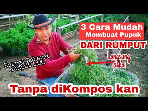 Video: Apakah kilat menumbuhkan rumput lebih cepat?