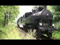 Historicky vlak - Nostalgia - Brestovec 2010 (28. 8.)